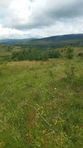იყიდება მიწის ნაკვეთი, სასოფლო - სამეურნეო, ქვედა თლუღი