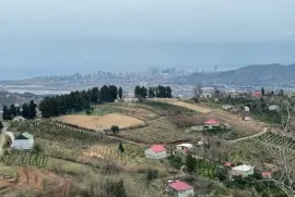 Land For Sale, Non Agricultural