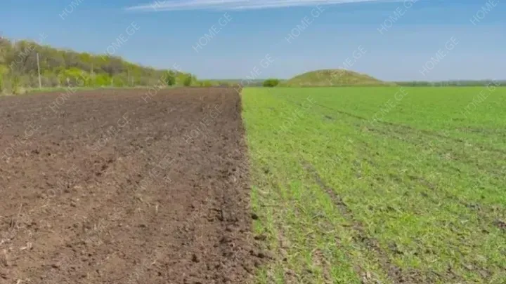 Land For Sale, Non Agricultural, Bazaleti