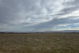 იყიდება მიწის ნაკვეთი, სასოფლო - სამეურნეო, ზემო თელეთი