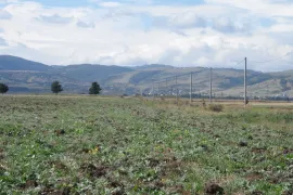 Land For Sale, Special, Teleti