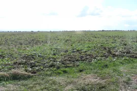 Land For Sale, Special, Teleti