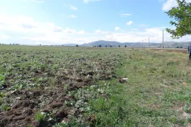Land For Sale, Special, Teleti