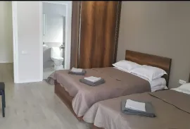 Daily Rent, 5 Room, Borjomi , Bakuriani