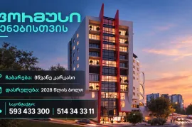 ფორმუსი საბურთალო
