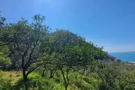 Land For Sale, Agricultural, Gonio