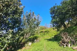 Land For Sale, Agricultural, Gonio