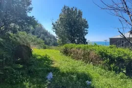 Land For Sale, Agricultural, Gonio