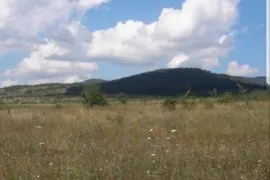 Lease Land , Non Agricultural, Lanchkhuti