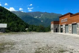 იყიდება, სპეციალური ფართი, მესტია