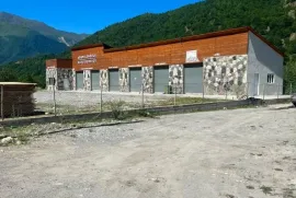 იყიდება, სპეციალური ფართი, მესტია