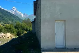 იყიდება, სპეციალური ფართი, მესტია