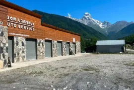 იყიდება, სპეციალური ფართი, მესტია