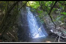 Land For Sale, For Investment, Shindisi