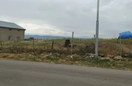 იყიდება მიწის ნაკვეთი, სასოფლო - სამეურნეო, ნასაგური
