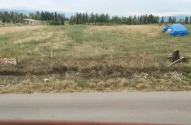 იყიდება მიწის ნაკვეთი, სასოფლო - სამეურნეო, ნასაგური