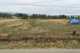 იყიდება მიწის ნაკვეთი, სასოფლო - სამეურნეო, ნასაგური