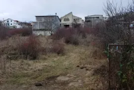 იყიდება მიწის ნაკვეთი, სასოფლო - სამეურნეო, ბეთანია