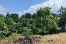 Land For Sale, Agricultural, Minda