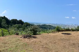 Land For Sale, Agricultural, Minda