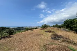 Land For Sale, Agricultural, Minda