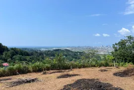 Land For Sale, Agricultural, Minda