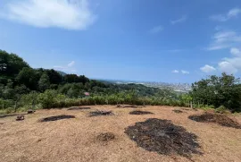 Land For Sale, Agricultural, Minda