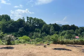 Land For Sale, Agricultural, Minda