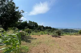 Land For Sale, Agricultural, Minda