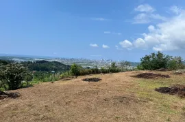 Land For Sale, Agricultural, Minda