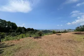 Land For Sale, Agricultural, Minda