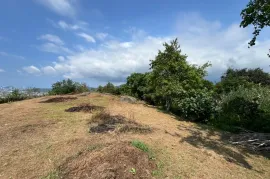 Land For Sale, Agricultural, Minda
