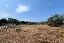 Land For Sale, Agricultural, Minda