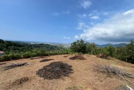 Land For Sale, Agricultural, Minda