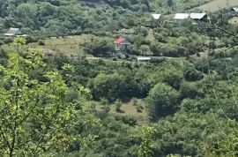 House For Sale, 6 Room, Dusheti , Zhinvali