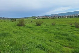 იყიდება მიწის ნაკვეთი, სასოფლო - სამეურნეო, ლისის ტბა