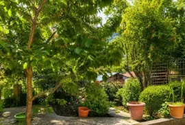 House For Rent, 5 Room, Tbilisi, vake