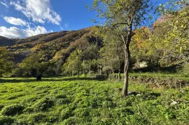 Land For Sale, Agricultural, Jughis