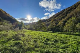 Land For Sale, Agricultural, Jughis