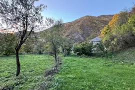 Land For Sale, Agricultural, Jughis