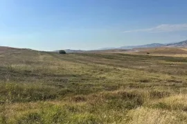 Продается Земля, Сельскохозяйственные, Kavtiskhevi
