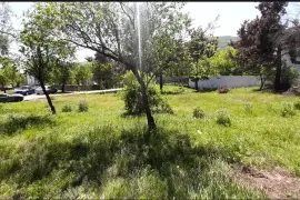 იყიდება მიწის ნაკვეთი, არა სასოფლო - სამეურნეო, წყნეთი