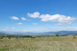Продается Земля, Сельскохозяйственные, Закаро