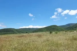 Продается Земля, Сельскохозяйственные, Закаро