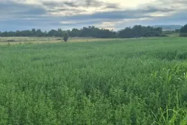 Land For Sale, Agricultural, Mukhati