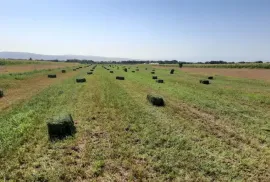 Land For Sale, Agricultural, Mukhati