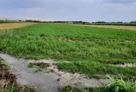 Land For Sale, Agricultural, Mukhati