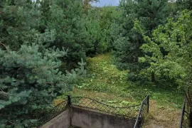 იყიდება სახლი, 8 ოთახიანი, წალკა, წალკა