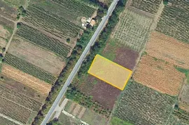 იყიდება მიწის ნაკვეთი, სასოფლო - სამეურნეო, კურდღელაური