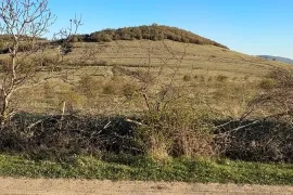 Продается Земля, Сельскохозяйственные, Kvemo Ashi